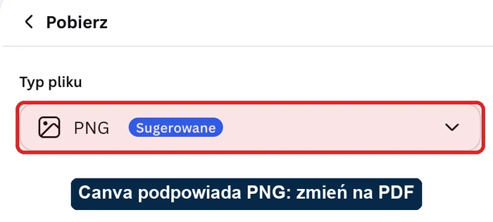 Canva przy wizytówkach podpowiada PNG: zmień typ pliku na PDF