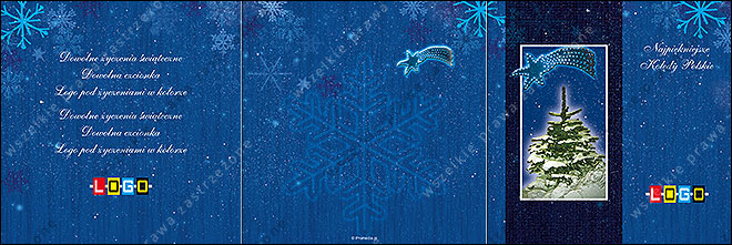 Spruce in a narrow frame with a comet - CD in a card wallet