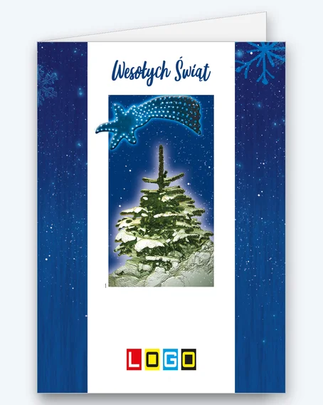 Light comet above a snowy spruce BN1-390 - cover